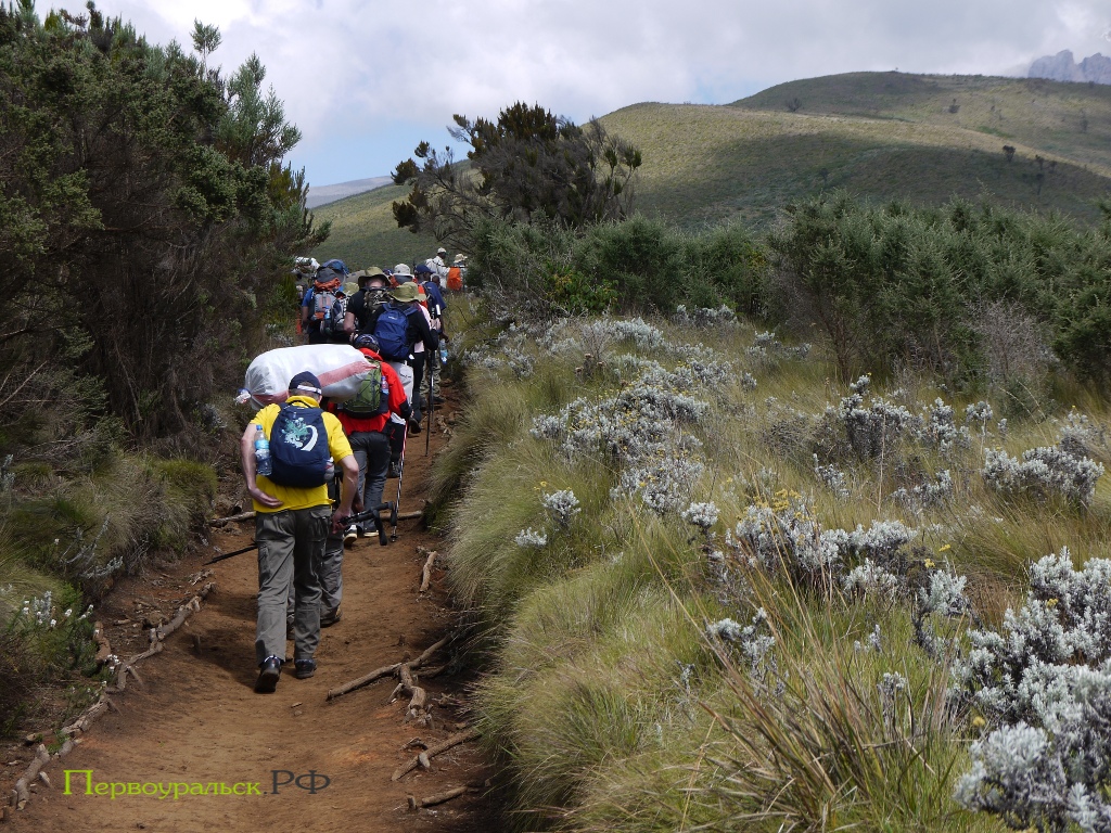 �� �����